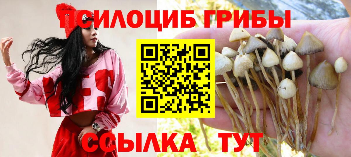 Братск  купить  цена  Псилоцибиновые грибы ЛСД  Вход с VPN  Галлюциногенные грибы мухоморы 