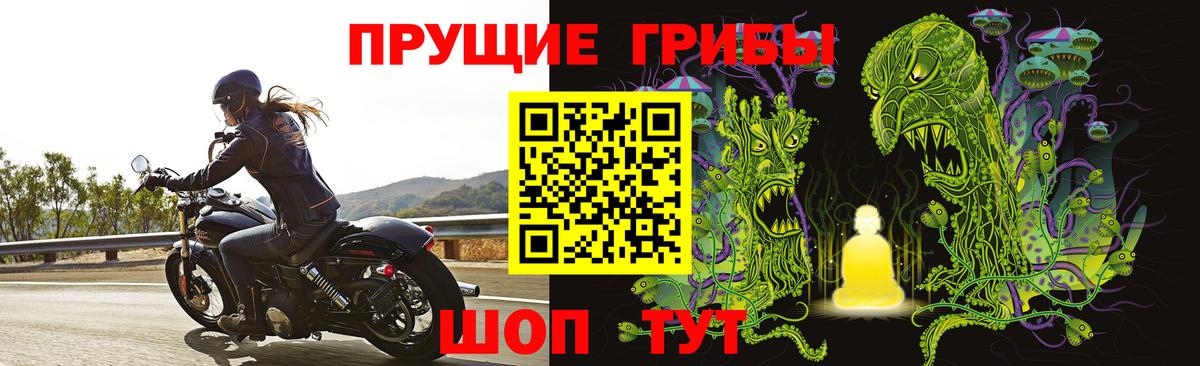 Галлюциногенные грибы Cubensis Братск